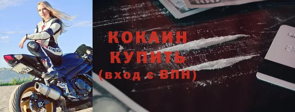 крисы Сосновка