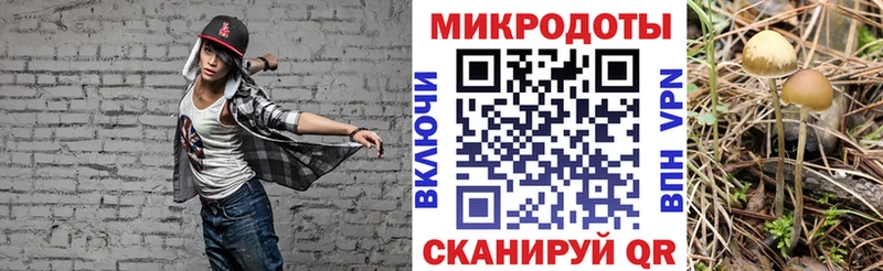 Галлюциногенные грибы прущие грибы  Костерёво 