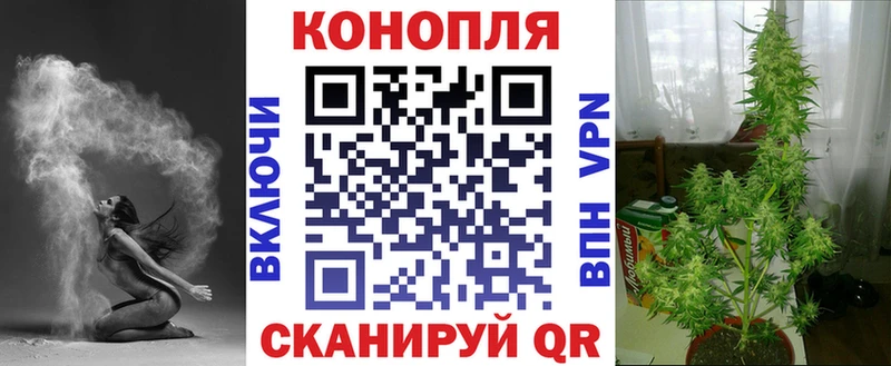 Марихуана сатива  shop официальный сайт  Костерёво 